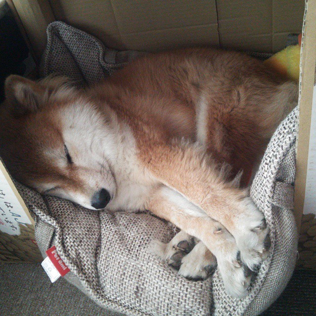 爱游戏官方网站-_青少年极限攀爬赛：从低难度到高挑战_，青少年攀岩比赛规则