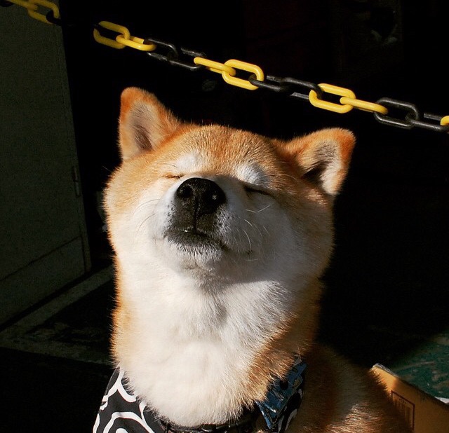 健身与冥想结合,提升练习效果,冥想和运动先做那样