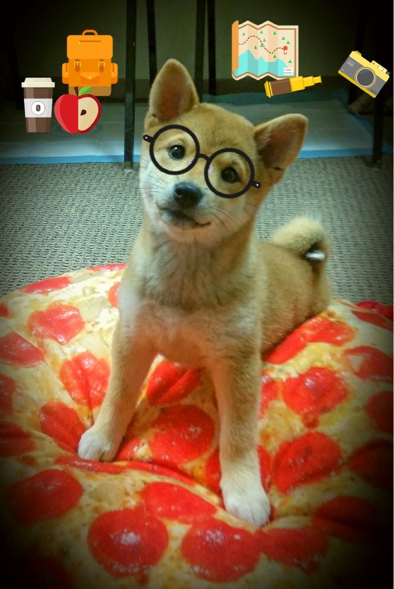 赫塔菲门将神扑救险场，赢得众人赞誉，赫塔菲转会