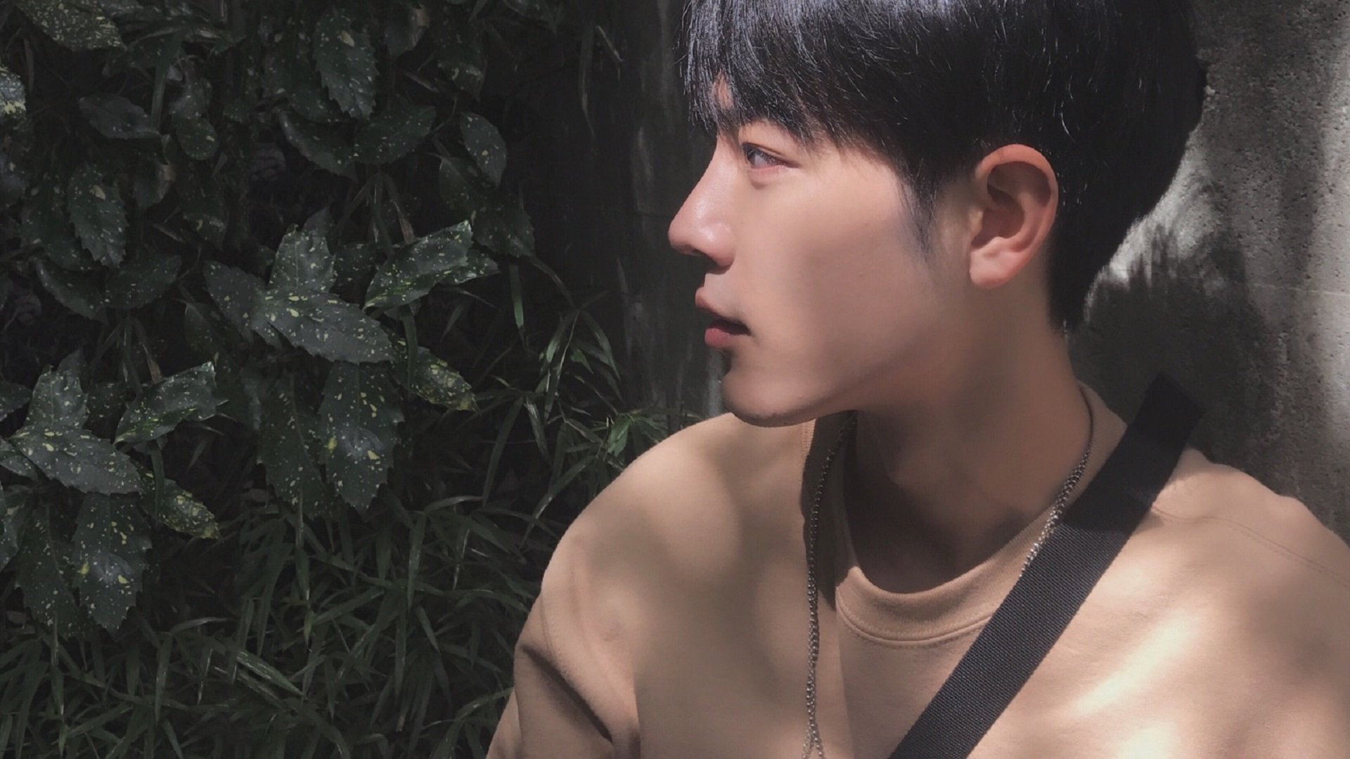 爱游戏官方-TL YouTube战术解析受好评，t+0战术