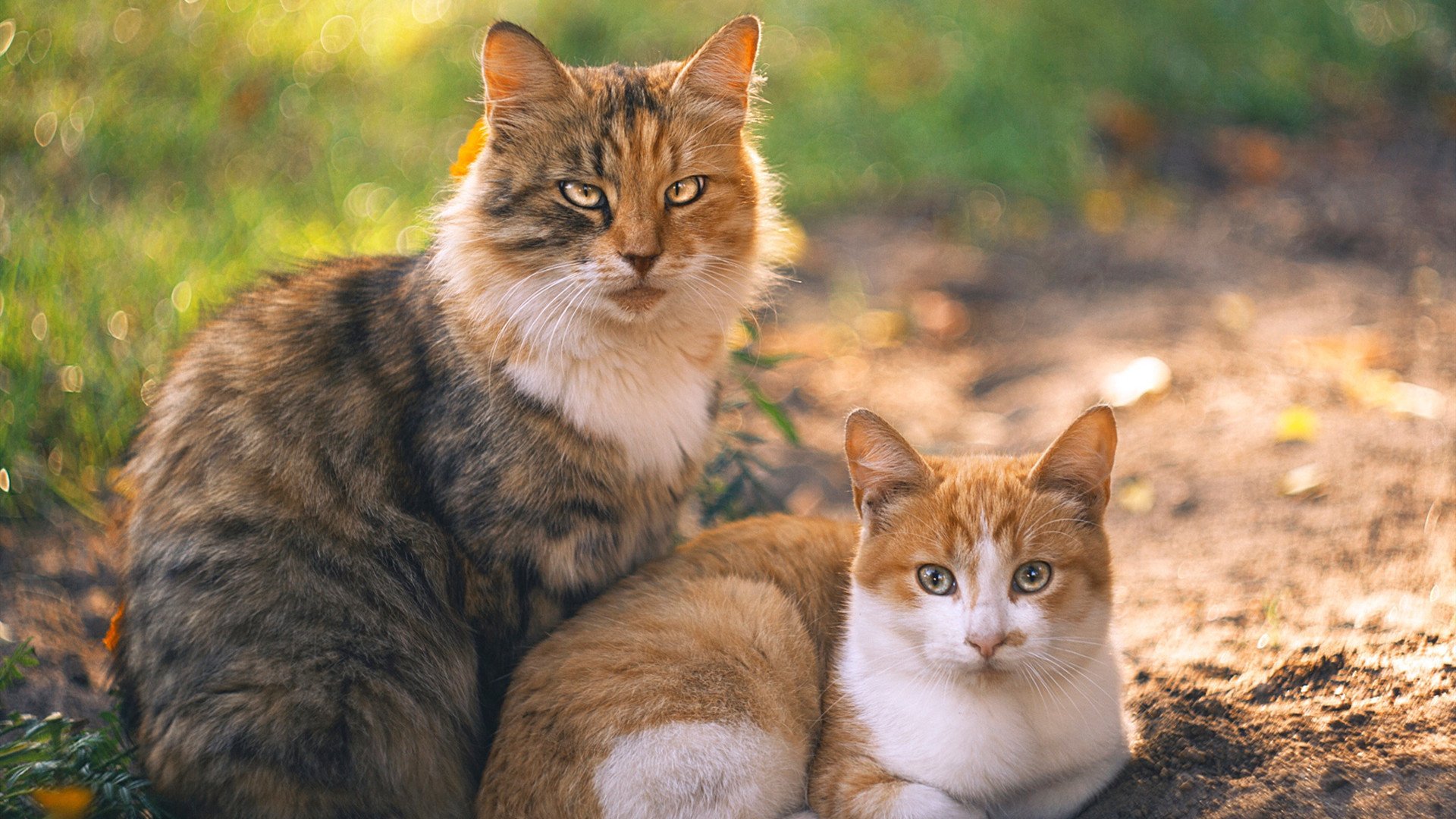 爱游戏在线登录入口-原州东浦新世代攻防转换效率提高