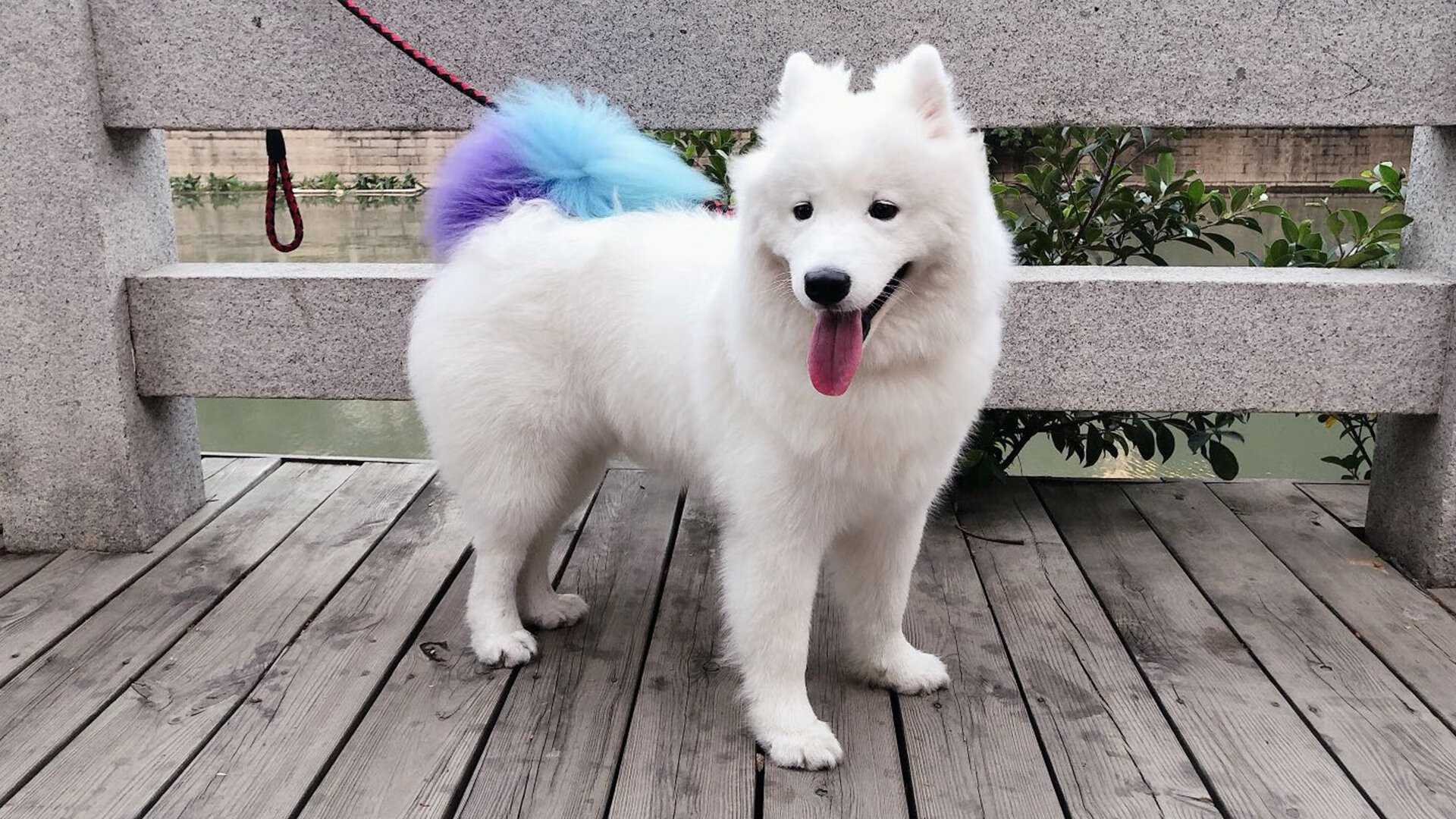 AYX体育-字母哥统治篮下雄鹿胜魔术，字母哥在雄鹿打什么位置