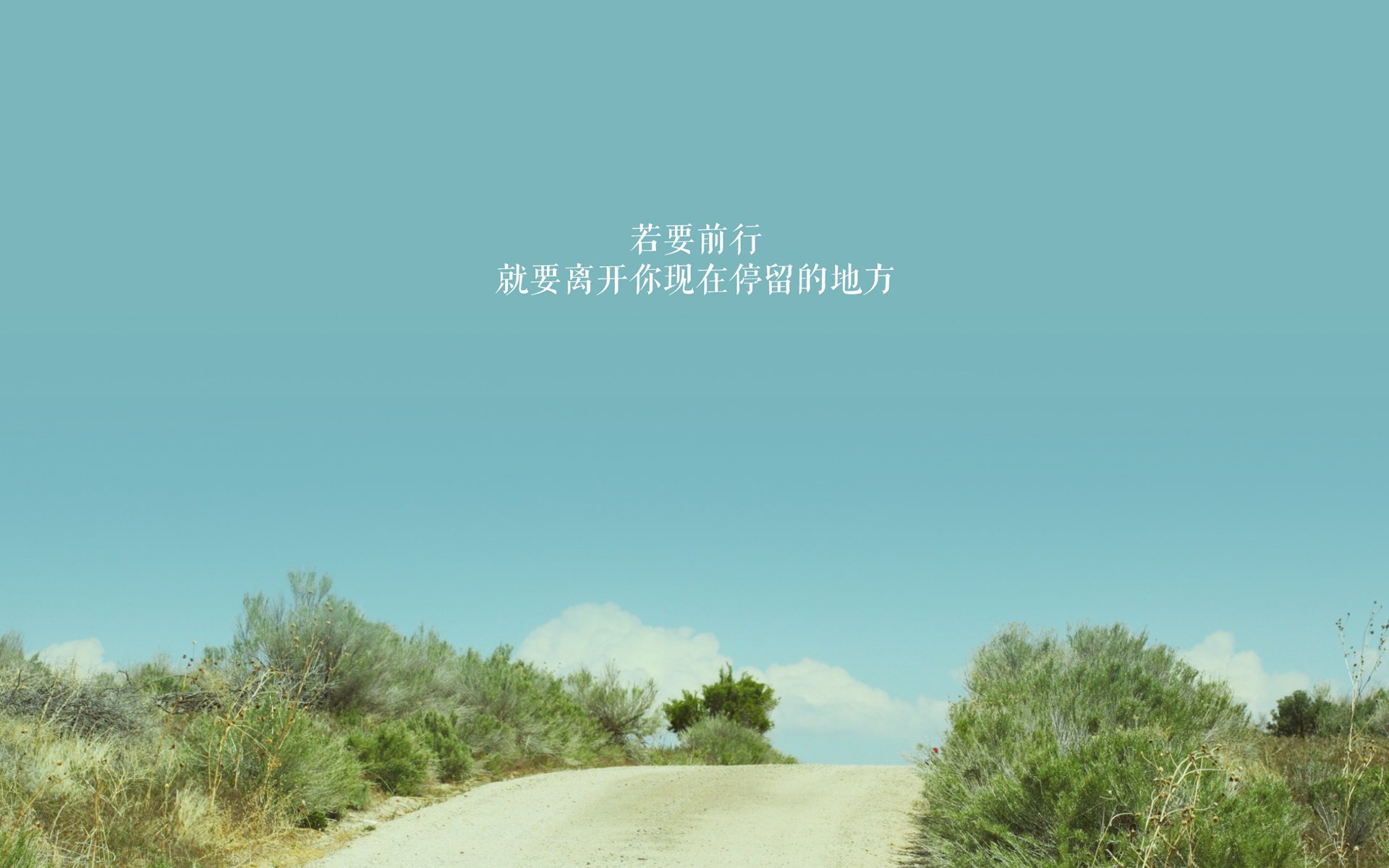 独行侠完封公牛，西部决赛中东契奇锁死对手，独行侠对公牛的比分预测