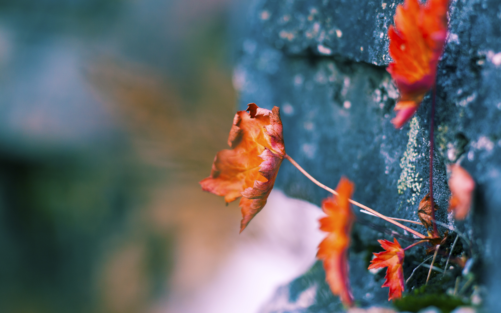 爱游戏官方网站-芬兰国家队备战国际比赛，力争获得胜利，芬兰球赛