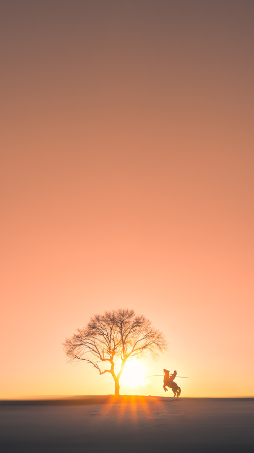 爱游戏体育-阿尔阿赫利季后赛前景乐观，阿尔阿赫利足球俱乐部