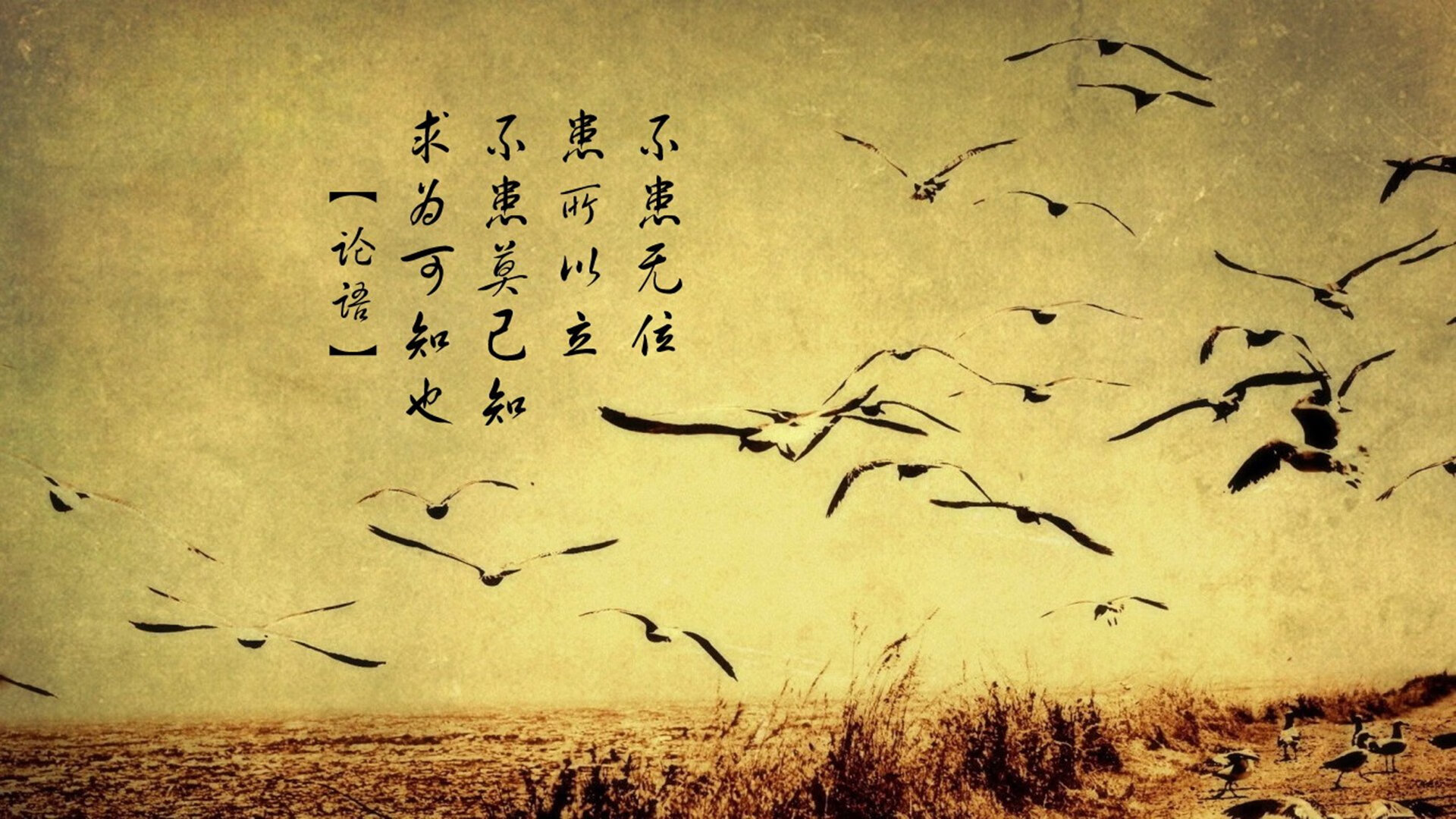 体育赛事运营管理信息系统设计,体育赛事运营方案