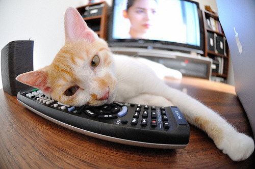 青少年体育锻炼习惯形成机制分析，青少年体育发展的制约因素