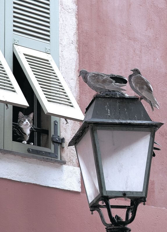 奥运备战重点项目进展顺利，奥运会备战策略