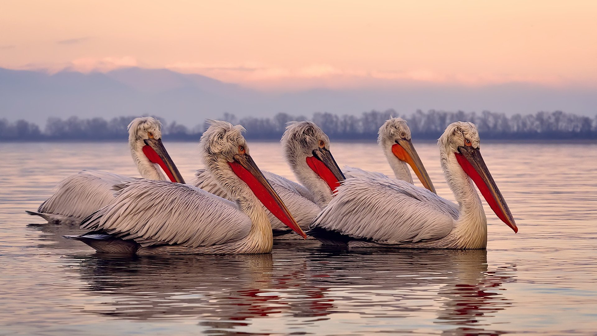 AYX GAMING-教练团队国际交流日益频繁，教练员沟通的理论和原则