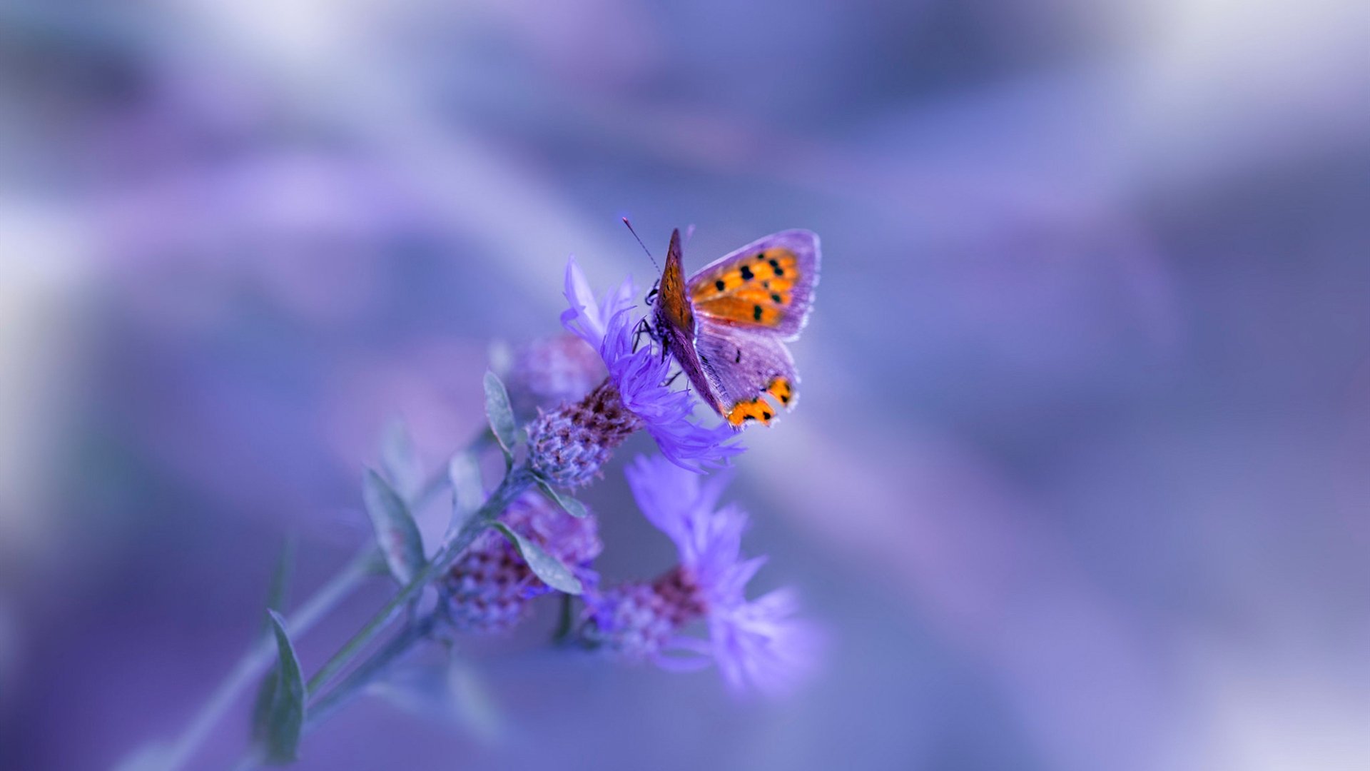 教练团队国际交流日益频繁，教练员沟通的理论和原则