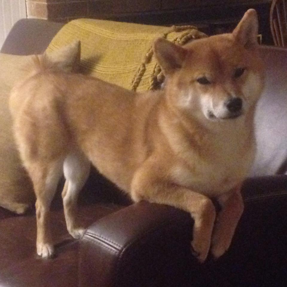 爱游戏登录入口-校园足球活动周期性强缺持续性，校园足球相关活动的开展情况