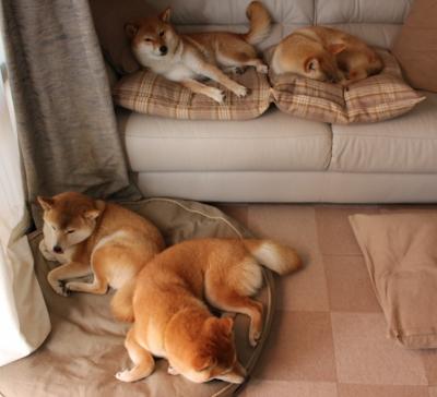 爱游戏 电竞-弗朗索瓦·霍尔茨豪伊泽：无所不能的背后指挥官，掌控比赛节奏